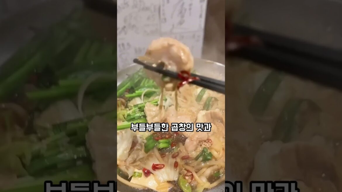 혼자 일본 후쿠오카 여행, 최고의 맛집