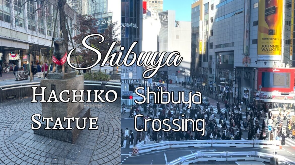 SHIBUYA: HACHIKO STATUE & SHIBUYA CROSSING #tokyo #hachikoStatue #shibuyaCrossing #TaraAnythingGoes