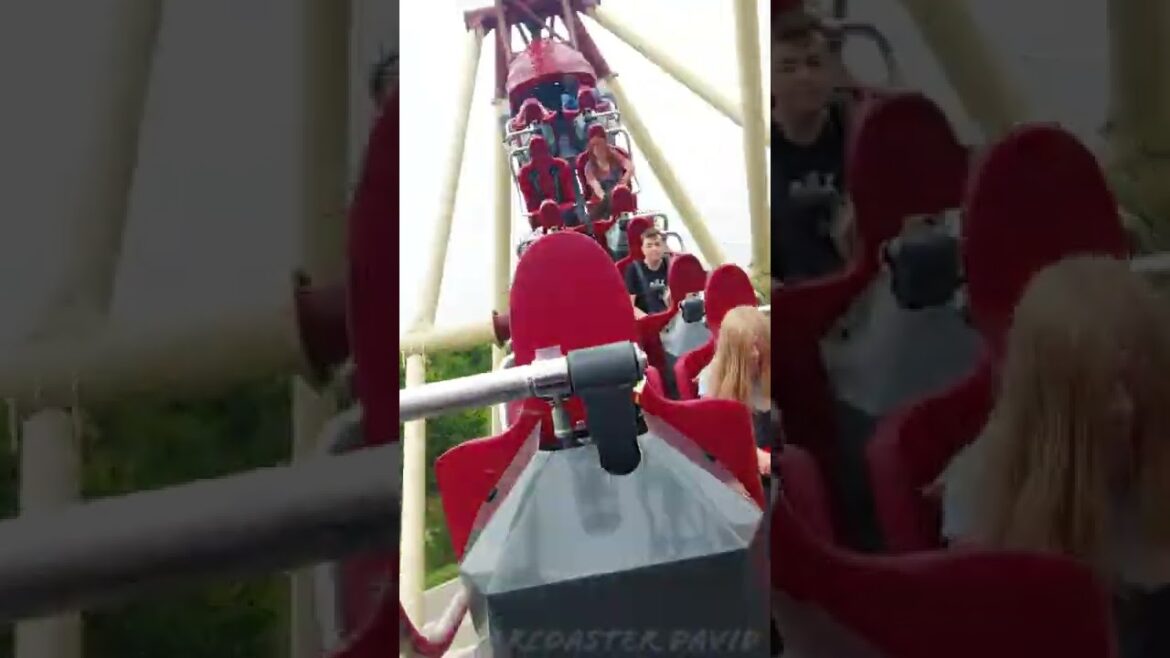 Vertical Drop Shuttle Roller Coaster Cobra at Connyland by PAX #Short #Shorts #Youtubeshorts Vertical Drop Shuttle Roller Coaster Cobra at Connyland by PAX #Short #Shorts #Youtubeshorts