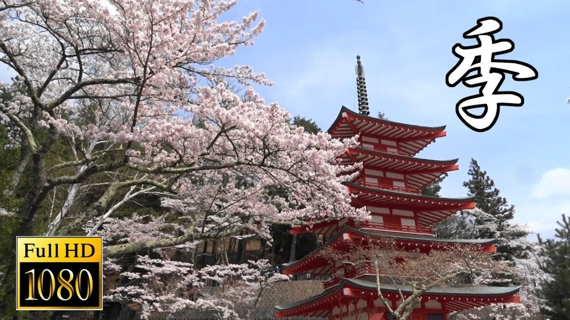 There are four seasons in Japan.