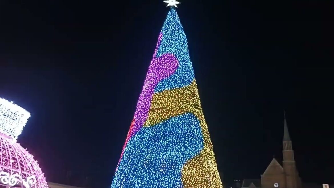 Okazaki Christmas tree (Japan)