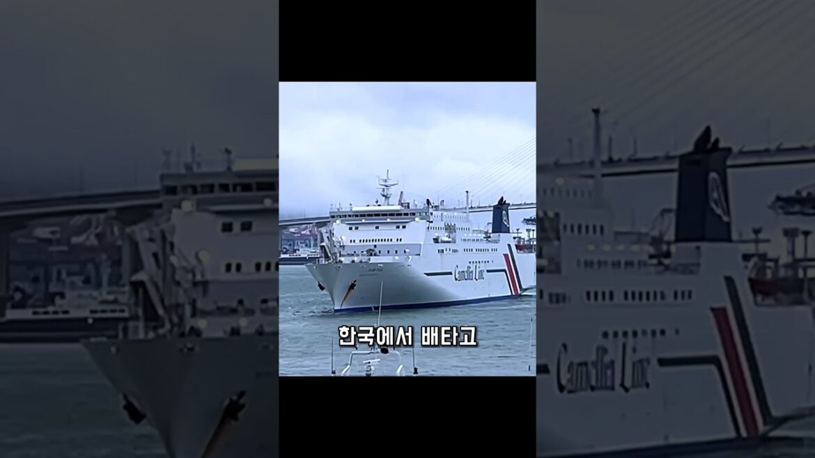 한국에서 배타고 일본 여행 (부산-후쿠오카) #shorts