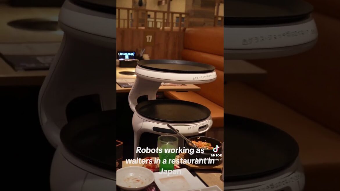 Robots working as waiters in a restaurant in Japan #japan #travel #robots #future #technology