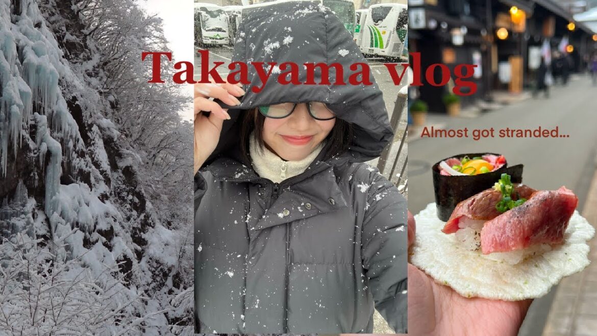 Takayama Vlog! (The town of “Your Name”) Almost STRANDED in snowy mountains/Activities/Street food! Takayama Vlog! (The town of "Your Name") Almost STRANDED in snowy mountains/Activities/Street food!