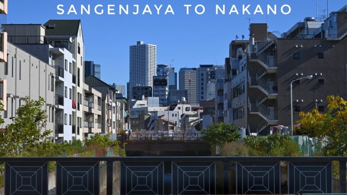 Live Morning Tokyo Walk - December 2023