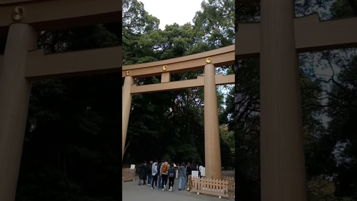 【TOKYO】One of the Best Spiritual Spots in Japan - Meiji Jingu