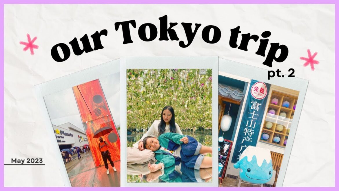 The Shy Tourists | Tokyo Trip Part 2 (Kawaguchiko, teamLab Planets & more) 05.2023