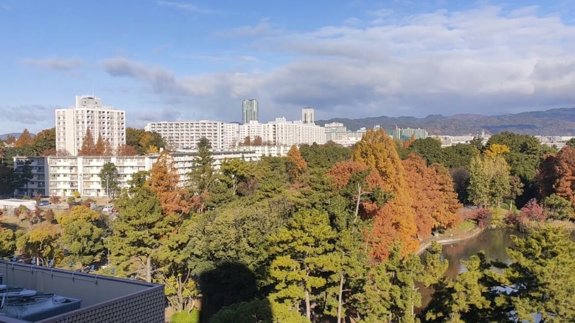 ទេសភាពដ៏ស្រស់ស្អាតនៅប្រទេសជប៉ុន, Suita, Osaka, Japan, Autumn #traveling #foryou #travel