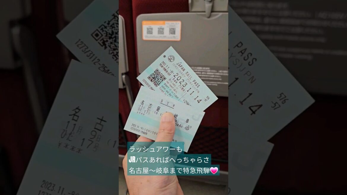 JRパス利用で快適旅行💗#岐阜#名古屋#JRパス#特急飛騨#일본여행