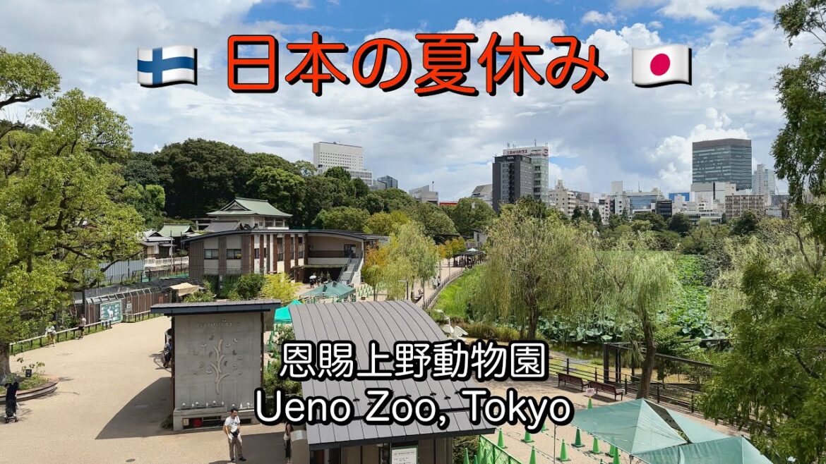 Seeing Pandas in Ueno Zoo, Tokyo / 恩賜上野動物園 🐼 #japan #tokyo #uenozoo #panda Seeing Pandas in Ueno Zoo, Tokyo / 恩賜上野動物園 🐼 #japan #tokyo #uenozoo #panda