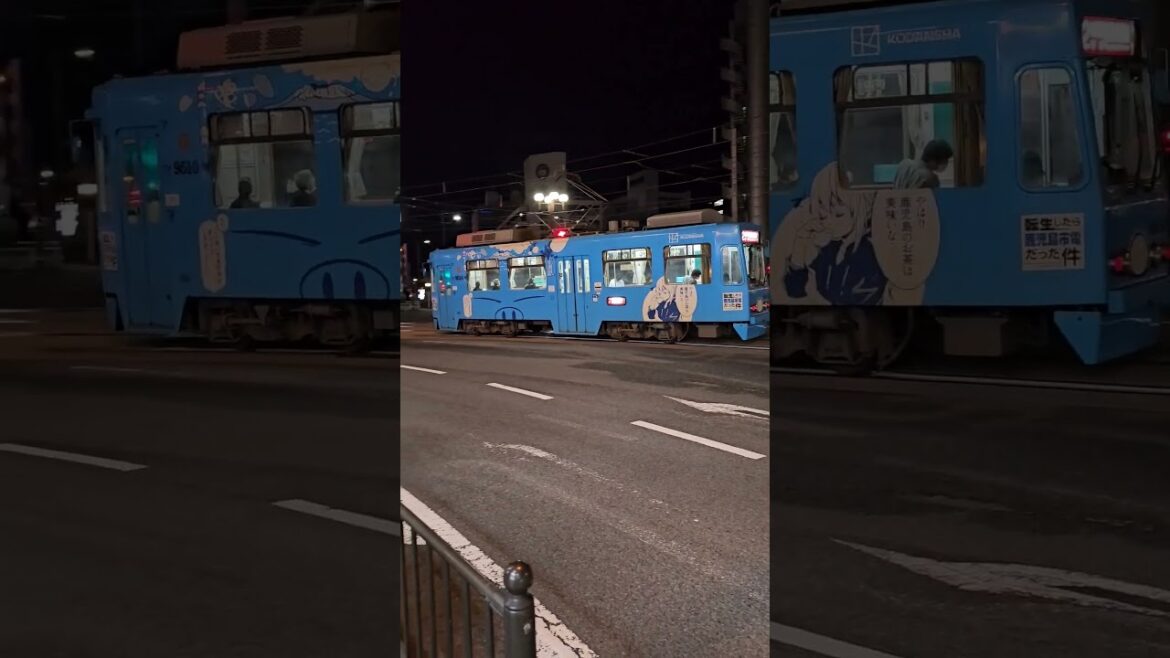 가고시마 라이프!