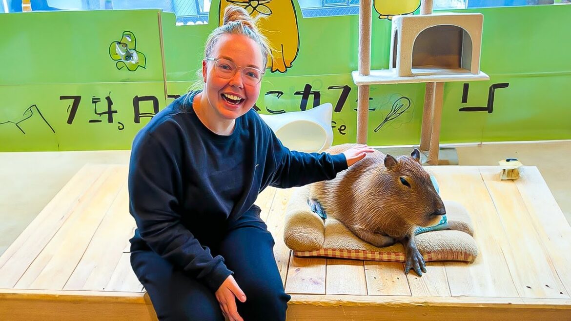 I Went to a Capybara Cafe in Tokyo, Japan! 🇯🇵