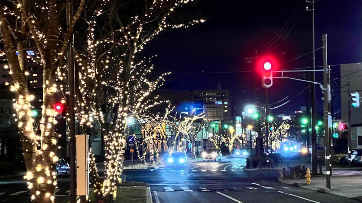北海道 函館 はこだてイルミネーションを見て回ろう(雪なし)- 2023.12.6 北海道 函館 はこだてイルミネーションを見て回ろう(雪なし)- 2023.12.6
