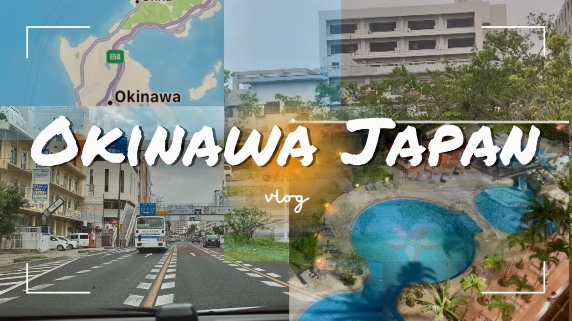 Japón / Llegamos al hotel + Centro de Okinawa/  Visitamos la Universidad de #okinawa  #vlog #japan