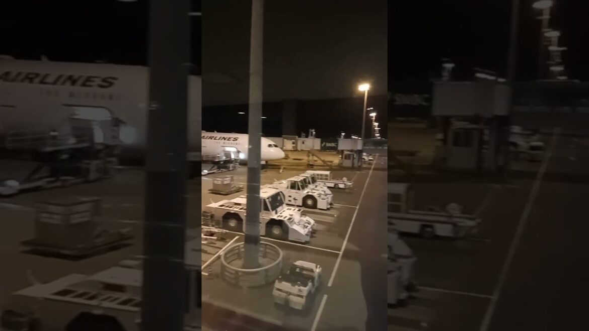 Japan Airline, Airplane, Osaka International Airport, Landing  #foryou #airport