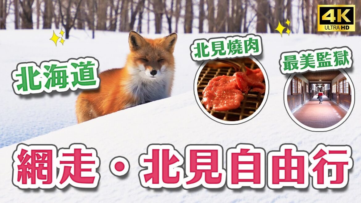 北海道自由行✨北見網走深度遊|流冰館-15度急凍體驗🥶北狐牧場、網走監獄博物館、網走燒肉街、能取岬、手工玻璃體驗、日本特色車站|北海道自由行・日本旅遊4K VLOG 北海道自由行✨北見網走深度遊|流冰館-15度急凍體驗🥶北狐牧場、網走監獄博物館、網走燒肉街、能取岬、手工玻璃體驗、日本特色車站|北海道自由行・日本旅遊4K VLOG