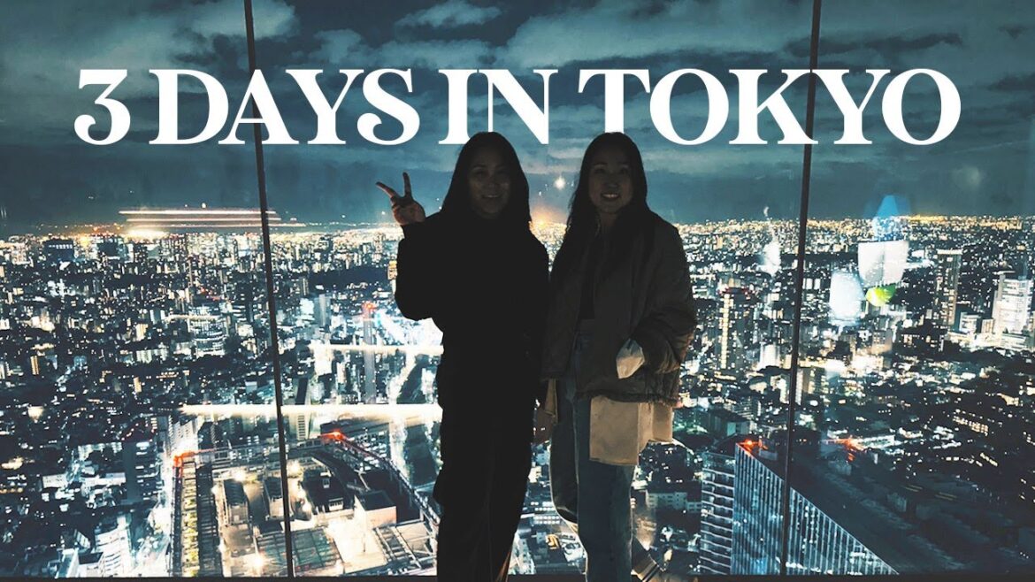 JAPAN VLOG | 3 Days in Tokyo (Shibuya Sky, Shinjuku, Harajuku, Team Lab)