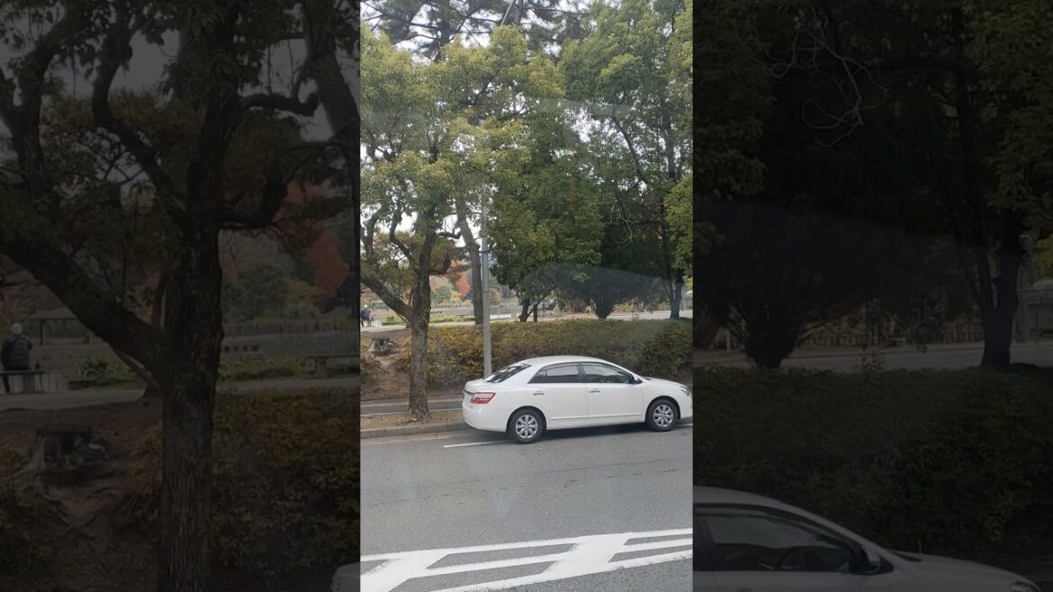 Good bye Minami Senri, Suita, Osaka, Japan, See you Next Year #traveling #asiantravel #foryou Good bye Minami Senri, Suita, Osaka, Japan, See you Next Year #traveling #asiantravel #foryou