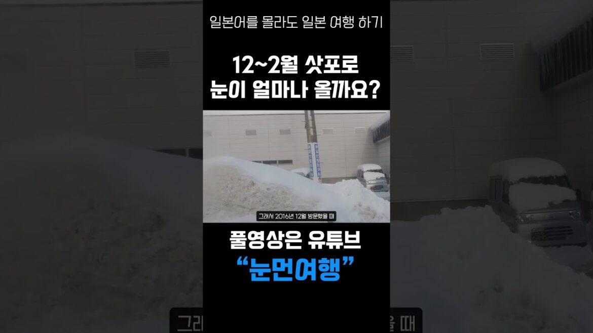 12~2월 삿포로 눈이 얼마나 올까요?? #삿포로일정 #일본여행 #후쿠오카여행 #일본여행