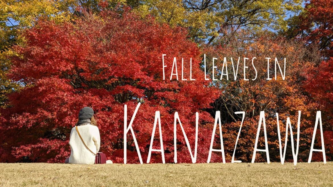 Fall Leaves in Kanazawa • 金沢の紅葉 Fall Leaves in Kanazawa • 金沢の紅葉