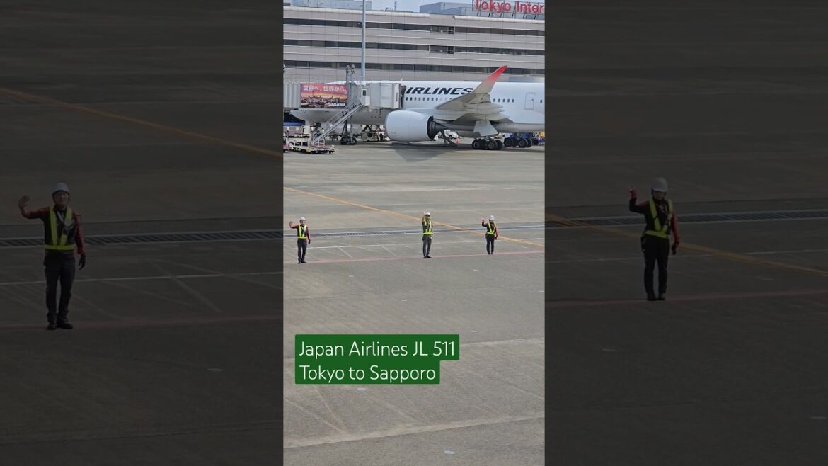 Awesome Japan Airlines Premium Economy (Class J) #shorts #travel