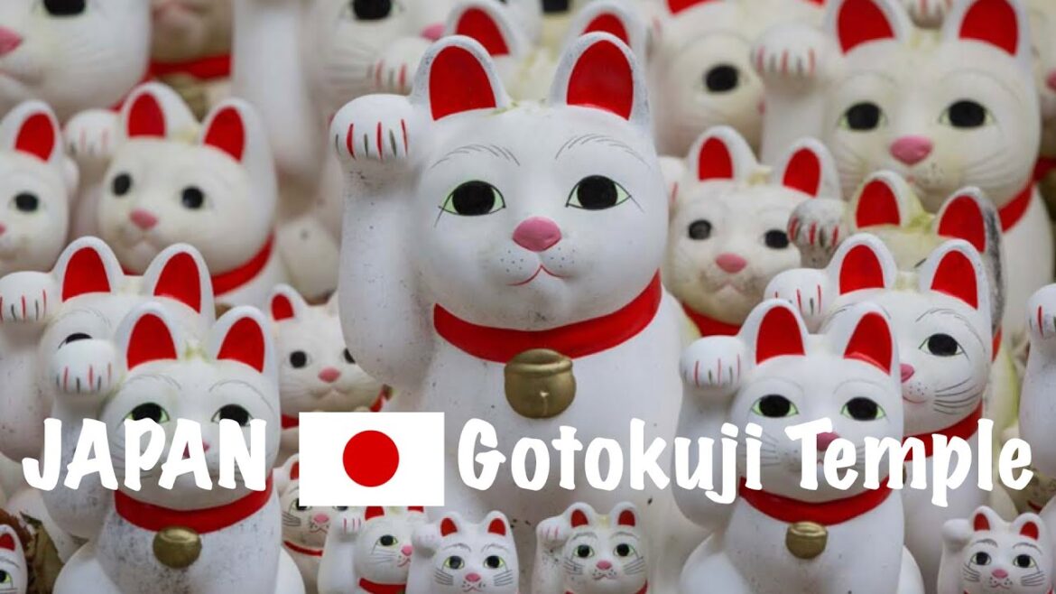 JAPAN TRIP GOTOKUJI😺 LUCKY CAT TEMPLE🇯🇵 #japan #Tokyo #Gotokuji #osakacastle #dotonbori #akibahara