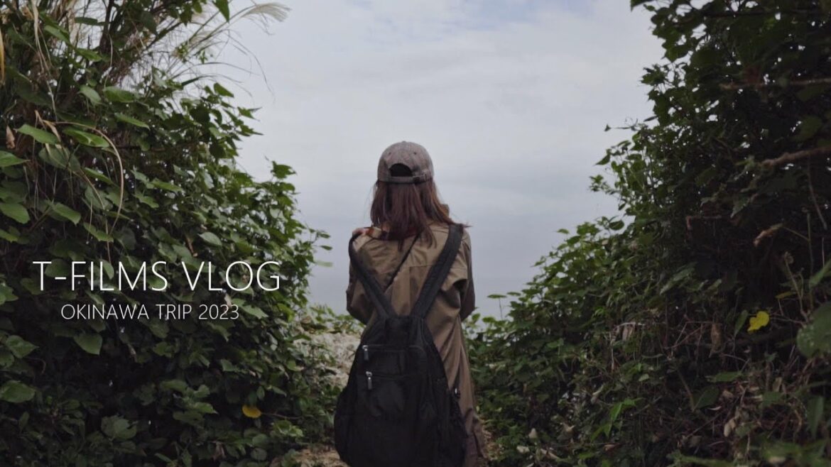 2023年 冬の沖縄旅行 ダイジェスト OKINAWA TRIP 2023 sony RX100 GoPro HERO7　cinematic vlog