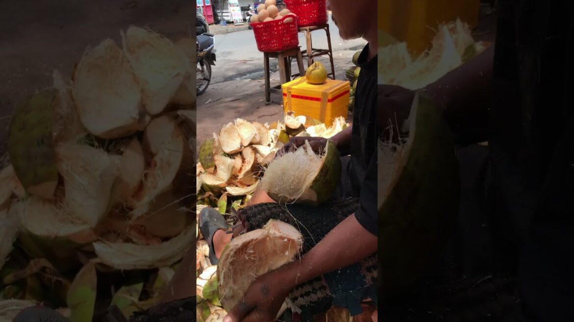 Fresh coconut cutting skill #shorts #streetfood #coconut #viral #asmr Fresh coconut cutting skill #shorts #streetfood #coconut #viral #asmr