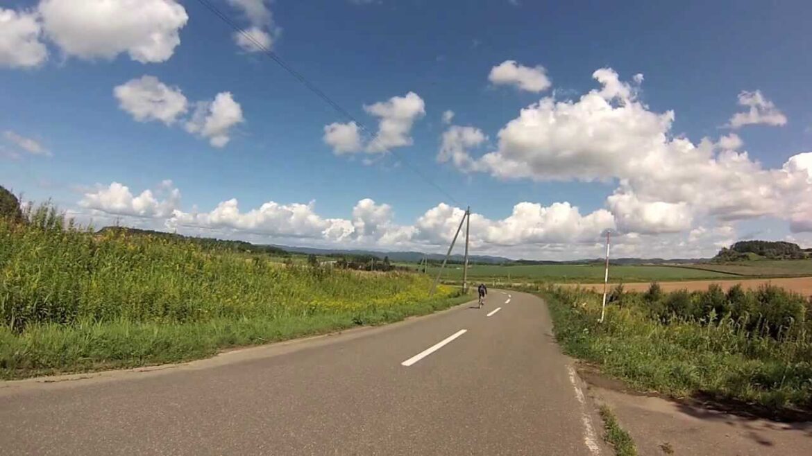 こんな道、走りたかった...