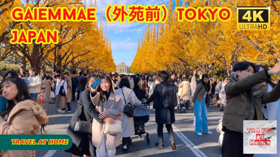 4k hdr japan travel | Autumn Walk in Gaiemmae（外苑前）Tokyo japan |  Relaxing Natural City ambience