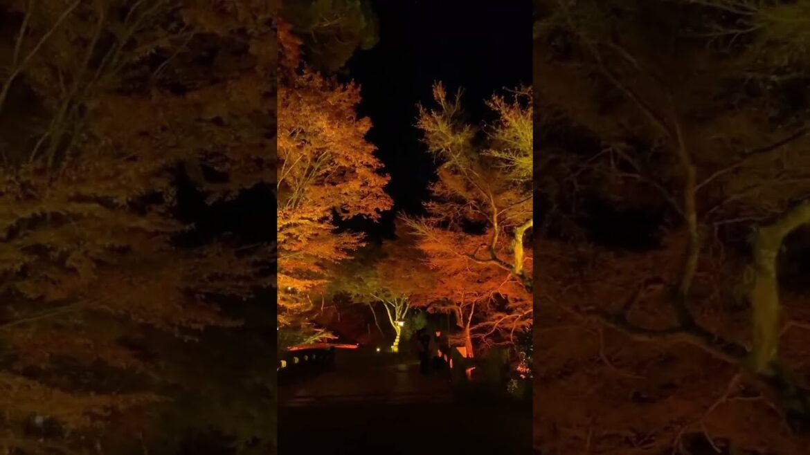 【JAPAN】So Beautiful Red Leaves Spot - Ishiyama Temple