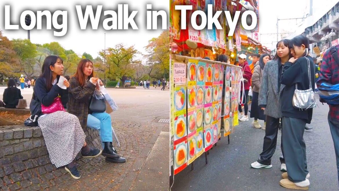 Tokyo walking tour – Ueno, Akihabara, Okachimachi. Scenery on Sunday♪ (Nov. 2023) Tokyo walking tour - Ueno, Akihabara, Okachimachi. Scenery on Sunday♪ (Nov. 2023)