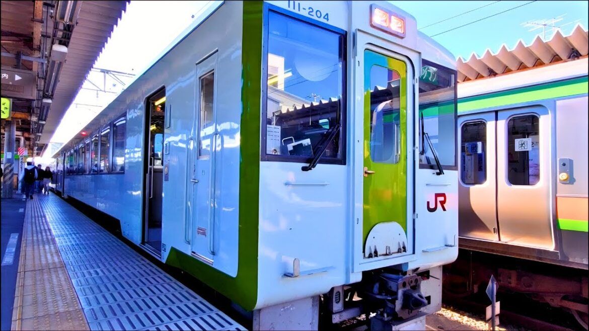 【旅情あふれる】埼玉で何故か走ってる”キハ110”に乗ってきた　八高線ディーゼルカーの旅　[高麗川→寄居]