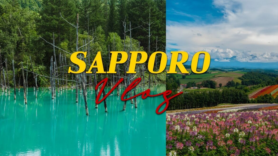 하루 ✈ Travel Vlog :) ✈ 삿포로 여름 브이로그 | 여행 | 비에이투어 | 맛집 | 비행공포증 | SAPPORO | JAPAN | Photo By HARU | ❤