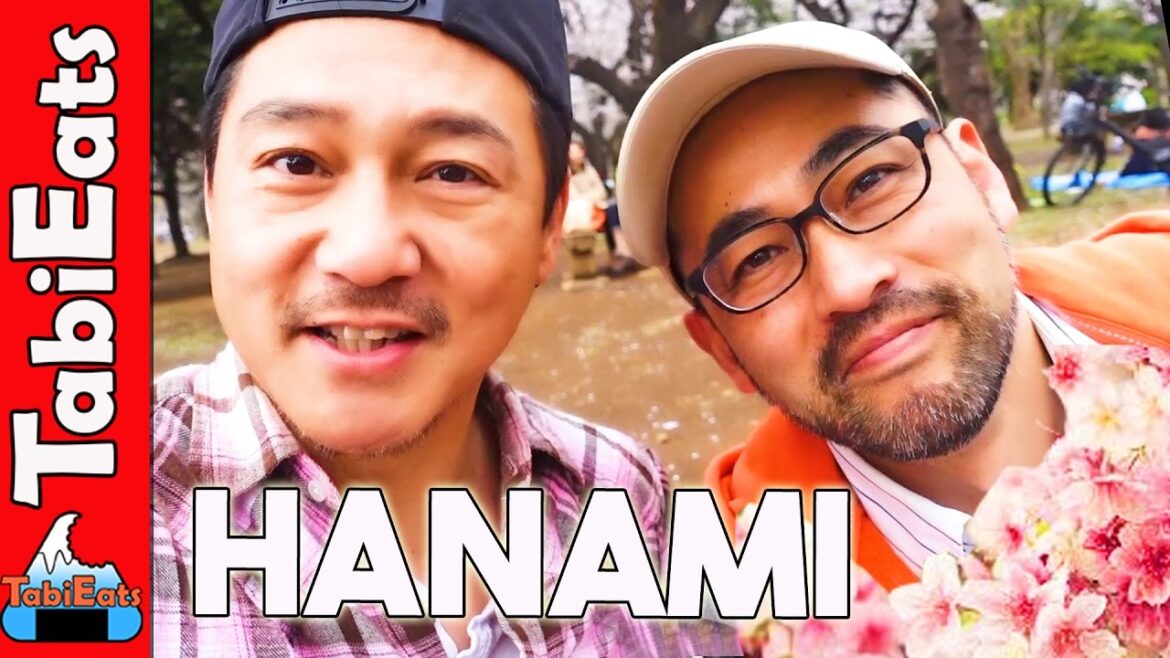 Hanami Cherry Blossom Picnic in Tokyo's Yoyogi Park