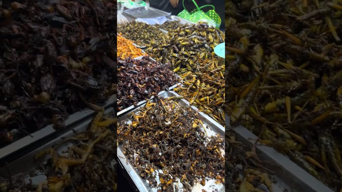 Woo Beautifull Saler Street Food Woo Beautifull Saler Street Food