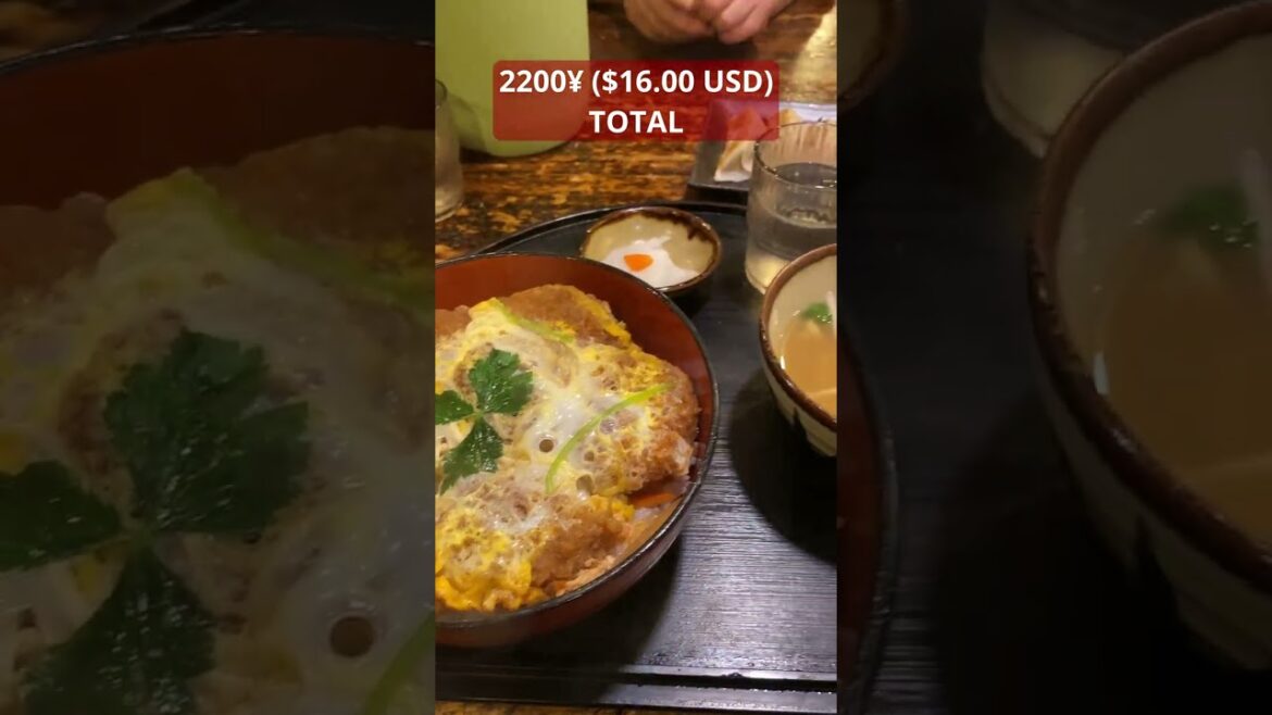 DELICIOUS Food For CHEAP in JAPAN 😮🤤