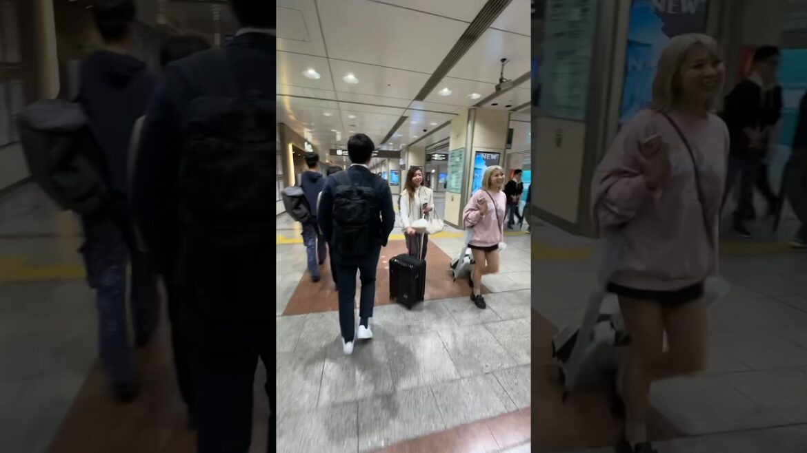 Nagoya Station 名古屋駅 #nagoyastation #nagoya #nagoyawalk #名古屋駅 #japan #japanwalk #walkingtour Nagoya Station 名古屋駅 #nagoyastation #nagoya #nagoyawalk #名古屋駅 #japan #japanwalk #walkingtour