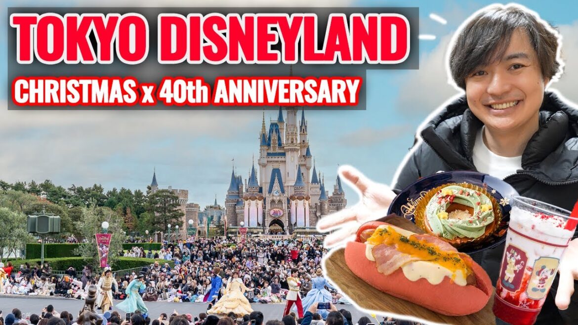 2023 December Travel Update from Christmas Tokyo Disneyland How to Find Less Waiting Time Day Ep.446 2023 December Travel Update from Christmas Tokyo Disneyland How to Find Less Waiting Time Day Ep.446