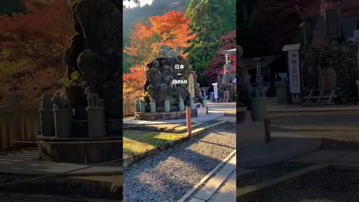 Japan travel vlog | a japan travel itinerary