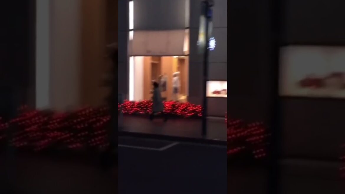 WINTER ILLUMINATIONS in TOKYO #tokyo #japan #japanese #illumination #winter