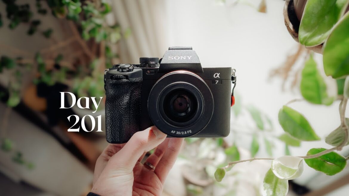 the perfect Everyday full-frame camera setup the perfect Everyday full-frame camera setup