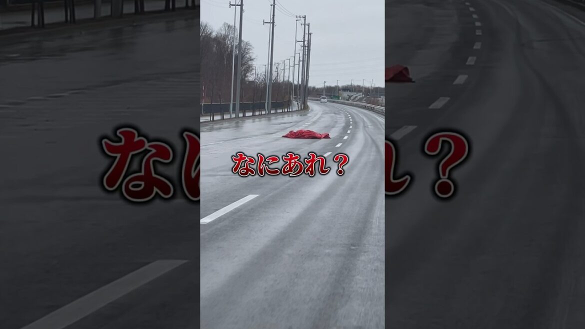 危うく大事故!! 道路の真ん中に「なにあれ？」謎の赤い物体が落ちてた日 #vlog #shorts