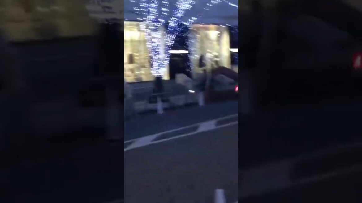 WINTER ILLUMINATIONS in TOKYO #tokyo #japan #japanese #illumination #winter