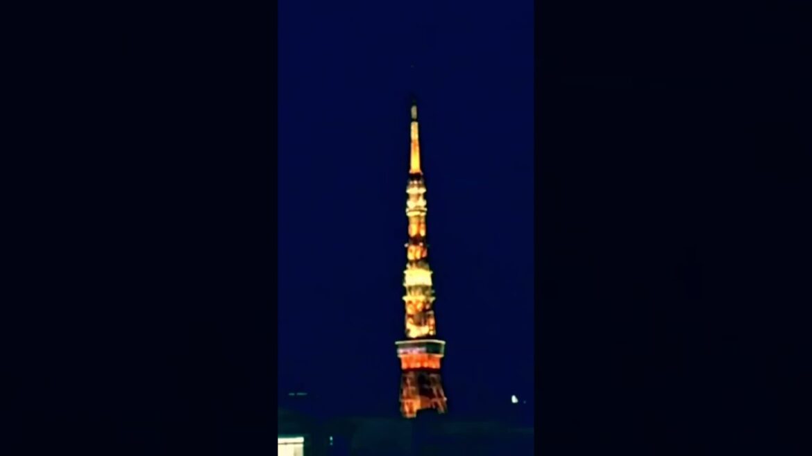 WINTER ILLUMINATIONS in TOKYO #tokyo #japan #japanese #illumination #winter