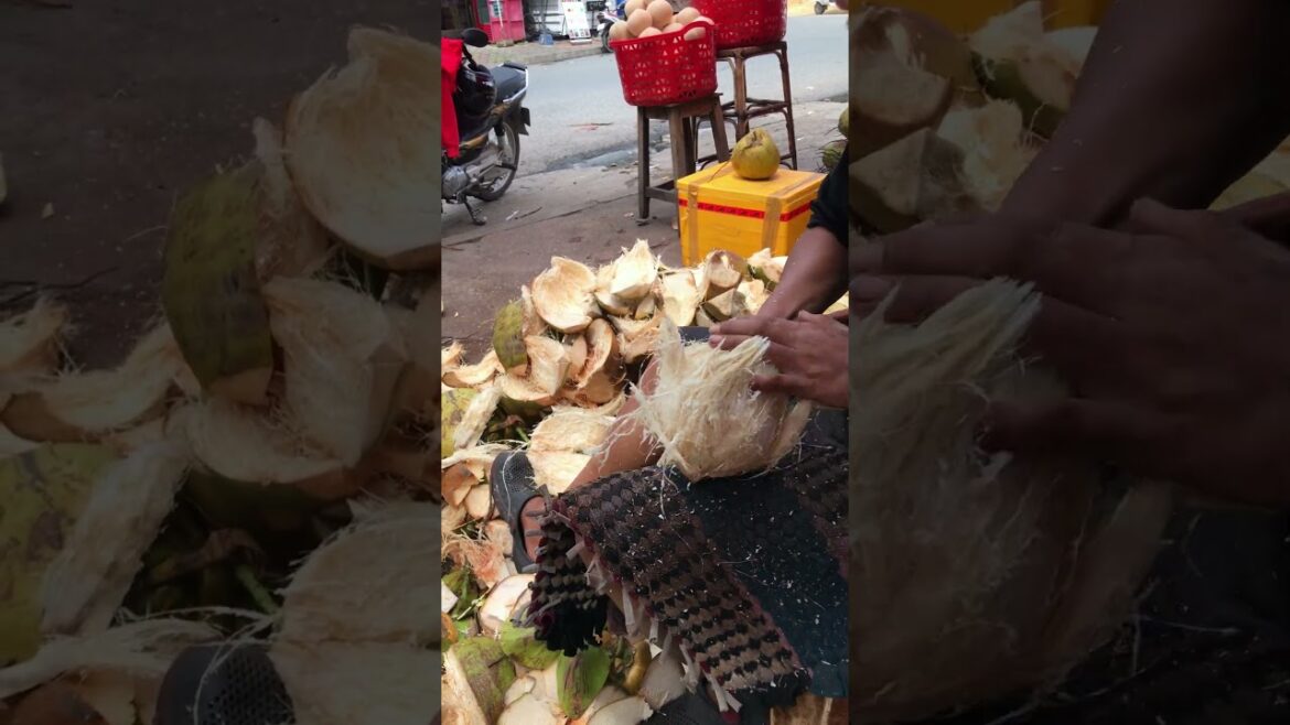 Fresh coconut cutting skill #shorts #streetfood #coconut #viral #asmr