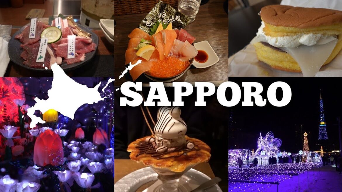 【札幌・小樽#2】1泊2日冬の北海道グルメ旅行~札幌編~ / 最高気温が氷点下☃️ 服装や積雪の様子は? / 王道グルメに観光に念願の星野リゾート!お腹も心も満たされたよくばり旅 /北海旅行vlog 【札幌・小樽#2】1泊2日冬の北海道グルメ旅行~札幌編~ / 最高気温が氷点下☃️ 服装や積雪の様子は? / 王道グルメに観光に念願の星野リゾート!お腹も心も満たされたよくばり旅 /北海旅行vlog