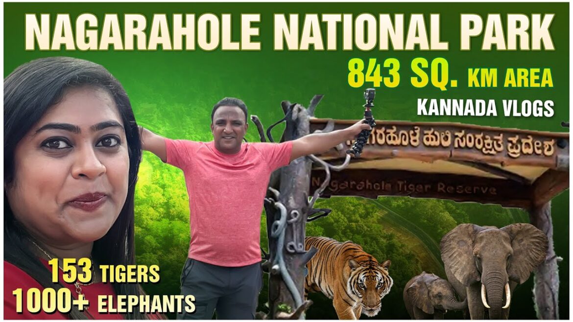 ನಾಗರಹೊಳೆ ಸಫಾರಿ | Rare Wild Animals Caught on Camera | Kannada Vlogs | Flying Passport