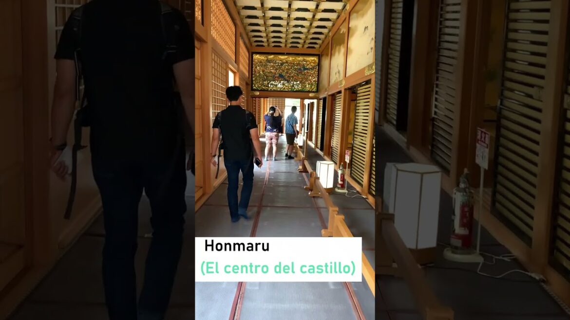 El nuevo viaje de Nagoya en 1 días, Japón 2 #shorts