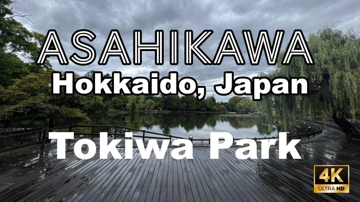 Peaceful walk in Tokiwa Park in Asahikawa Hokkaido Japan. Relaxation & ASMR virtual walking tour 4K Peaceful walk in Tokiwa Park in Asahikawa Hokkaido Japan. Relaxation & ASMR virtual walking tour 4K